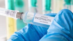 Rising Japanese Encephalitis Cases in New South Wales