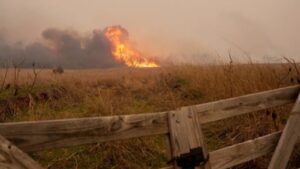 Red Flag Warning and Elevated Wildfire Risk in Oklahoma