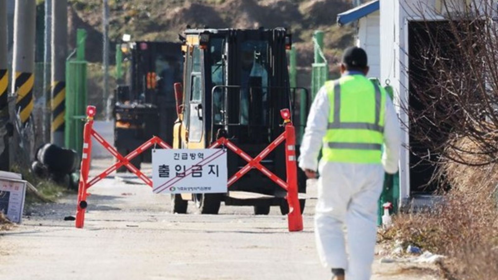 Avian Influenza in South Korea