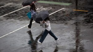 New Zealand Thunderstorm