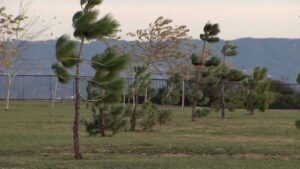 Southern California Valleys Wind Advisory
