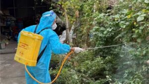 Rising Dengue and HFMD Cases in Ho Chi Minh City