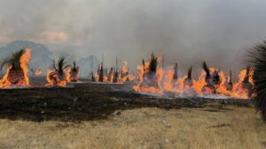 Extreme Fire Weather Warning Across Western Australia