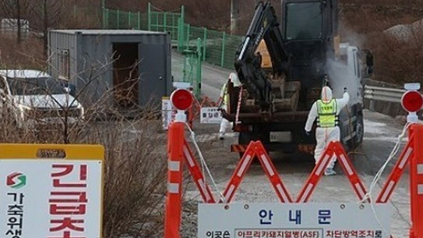 South Korea African Swine Fever Case