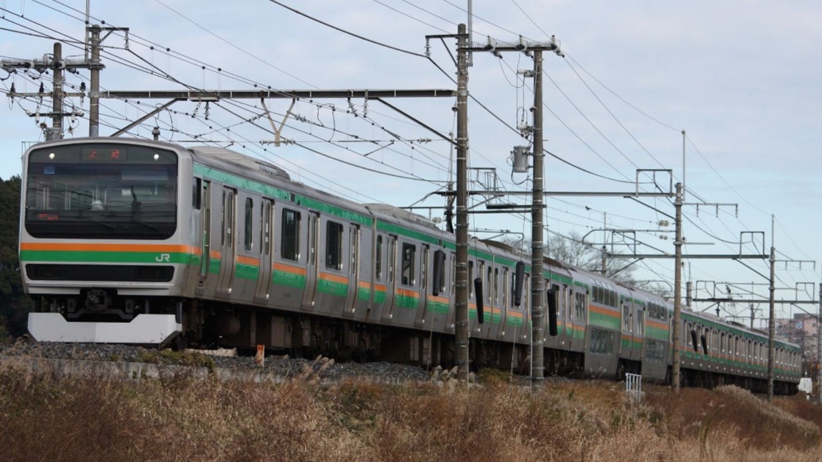 JR Utsunomiya Line Service Suspension