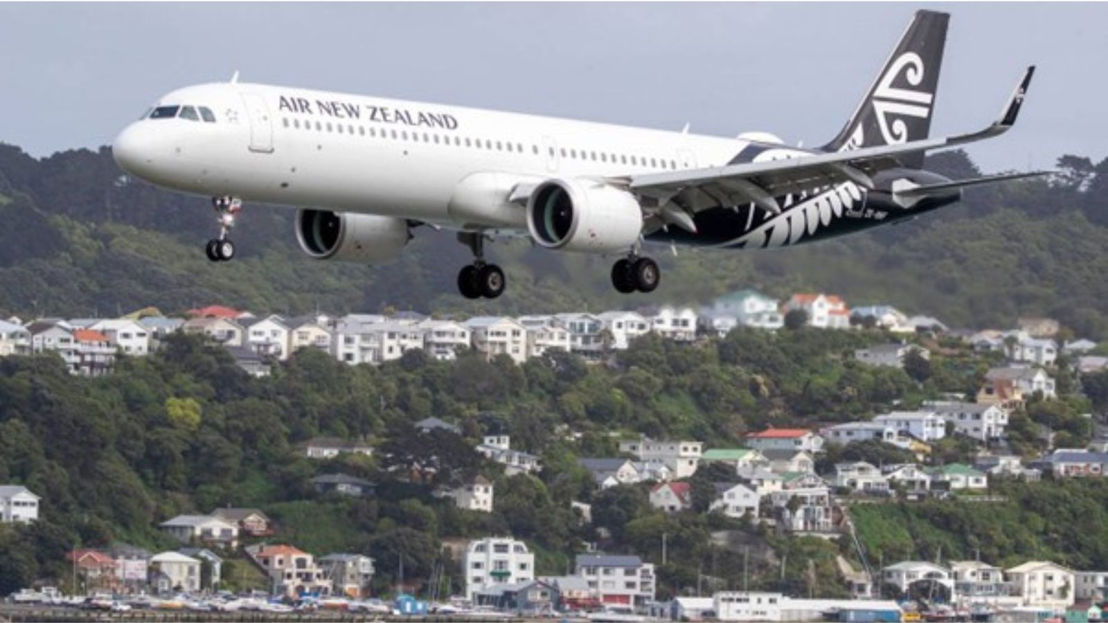Wellington Airport Flight Disruptions