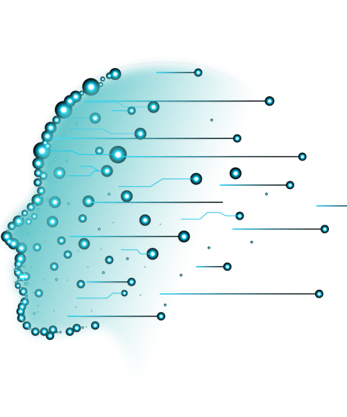 Human _Mesa de trabajo 1 (1)